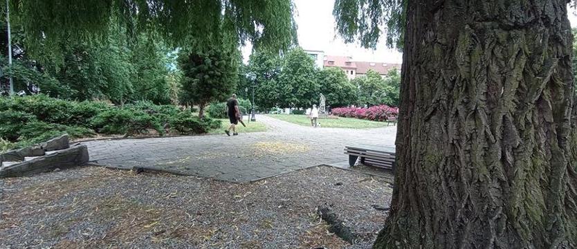 Przestańcie dręczyć ptaki! Zabawa (zła) z kijami
