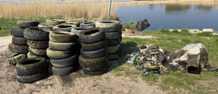 Podwodne sprzątanie jeziora Dąbie