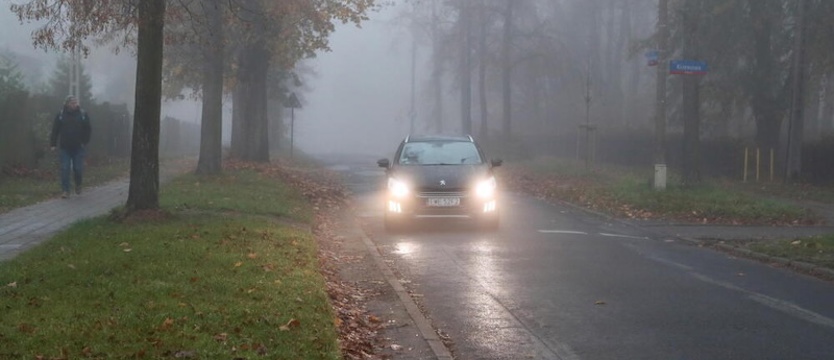 IMGW ostrzega przed gęstą mgłą