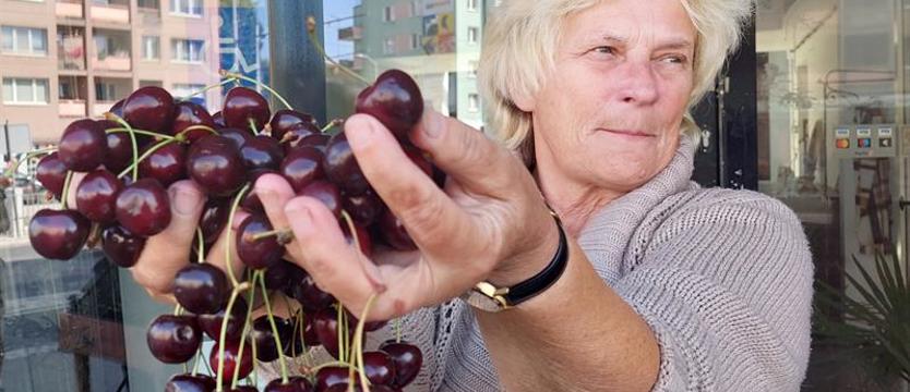Inflacja hamuje w pełni sezonu? Ceny owoców i warzyw podobne jak w minionym roku