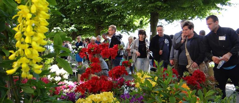 Na Wałach Chrobrego - w wiosennej odsłonie. Ogród kolorów i smaków