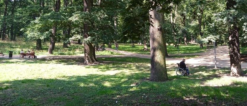 Bezdomny nie chce pomocy. Mieszkańcy poruszeni, służby są bezradne