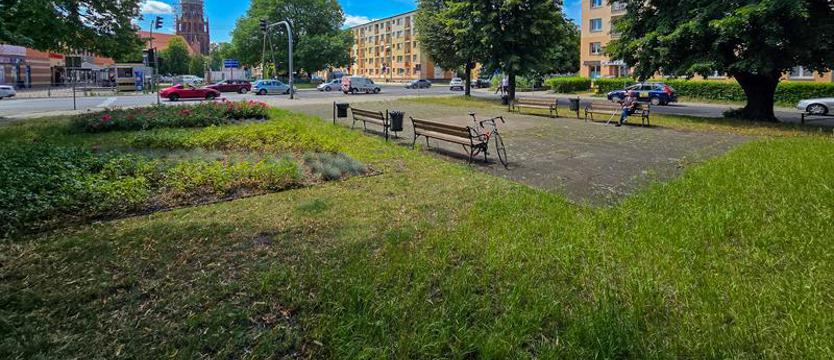 Zieleń zamiast pomnika. Czekając na Park Dąbie