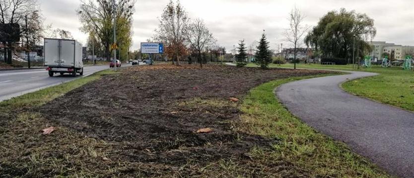 Zasiano łąki łan