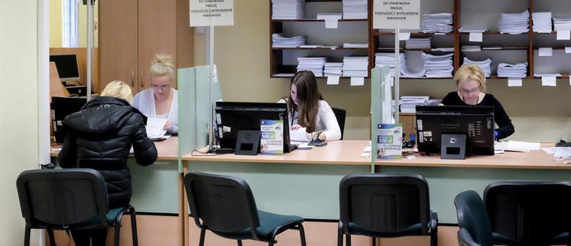 Bon opiekuńczy. Mnóstwo telefonów, jeden wniosek