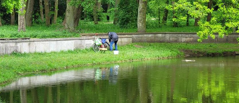 Staw w kołobrzeskim parku zostaje