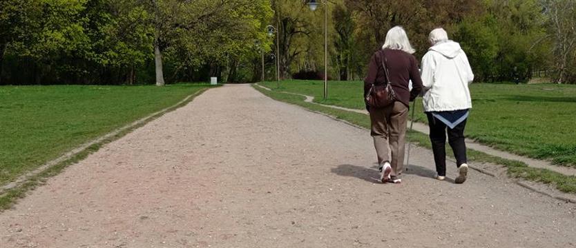 Ławki dla Fałata
