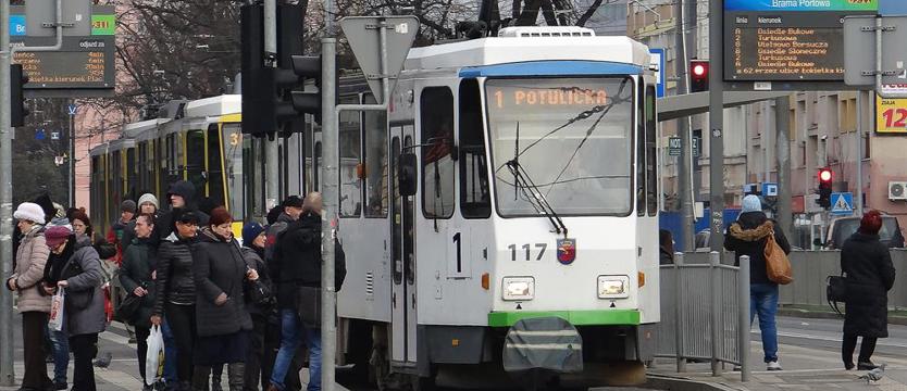 Mniej linii i mniej kursów