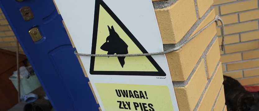 Winien człowiek, nie zwierzę
