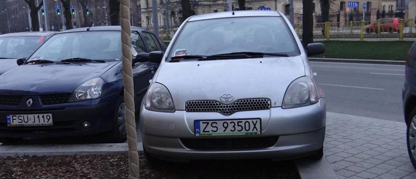 Chamy wśród róż