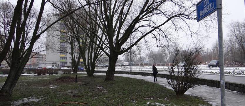 Ciało na (widoku) publicznym
