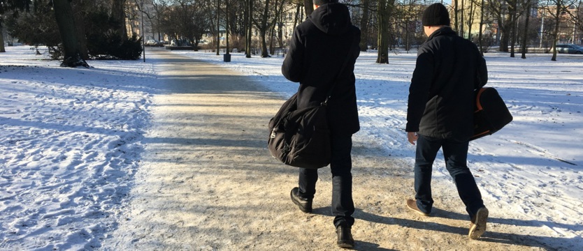 Przez parkowe alejki - w (po)ślizgu
