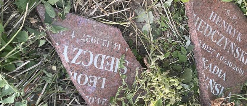 Zawiedzione zaufanie. Nagrobna głowica porzucona na poboczu drogi