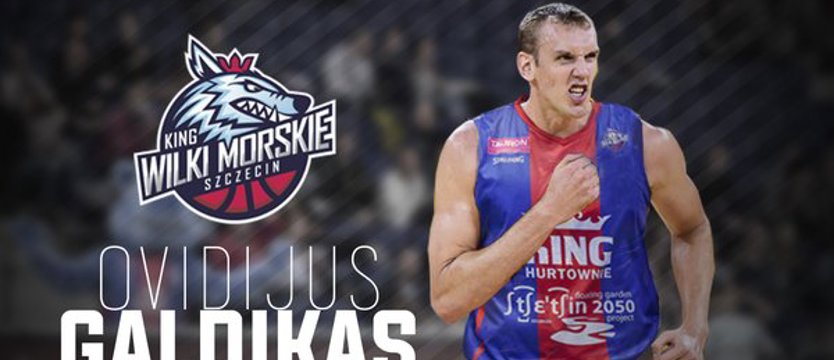 Koszykówka. Mocny transfer Wilków