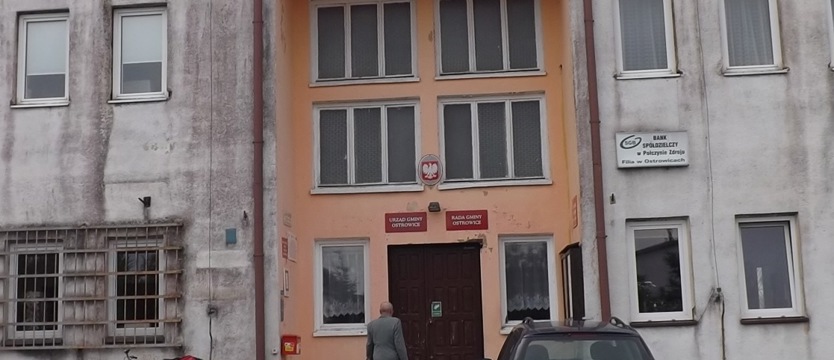 Drzewa-hybrydy ratunkiem dla Ostrowic?
