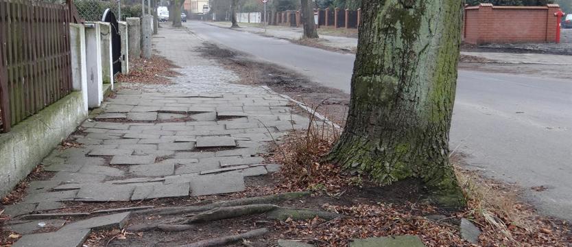 Dąbskie wertepy