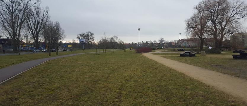 Czekając na giganta