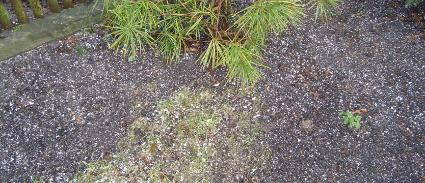 Styropianowy problem