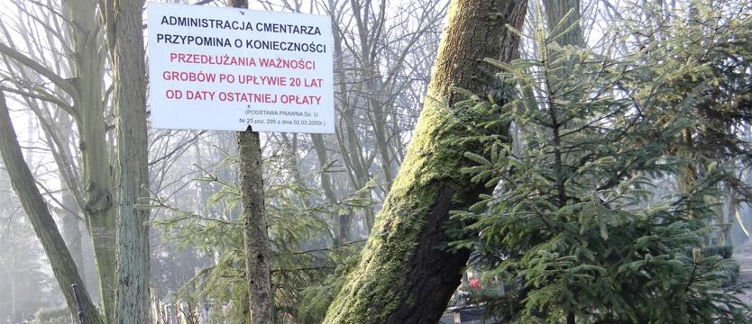 W KURIERZE: Słona pamięć