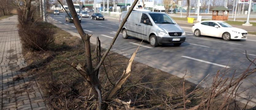 Niebezpieczny łuk