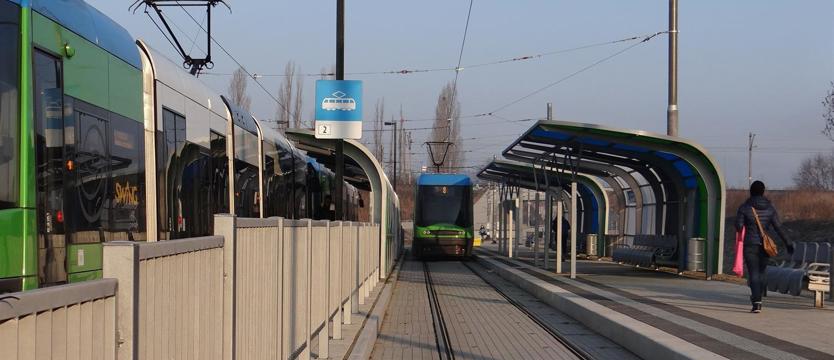 Turkusy niewarte 8 milionów