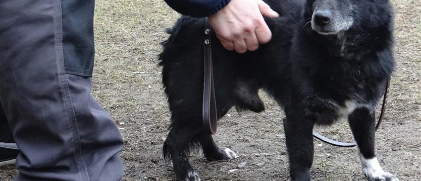Nergal z (gasnącą) nadzieją