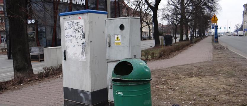  Zielony akcent, czyli martwa natura z petami