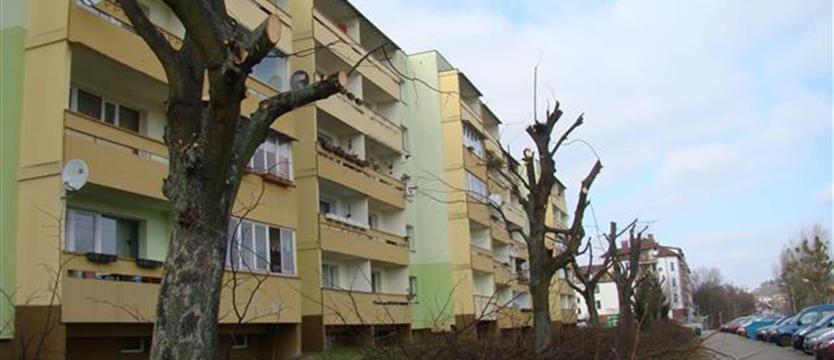 Tną: bo mogą i chcą