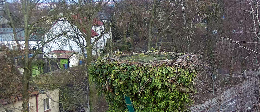 Kamera przy bocianim gnieździe