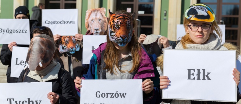 O dobre (lokalne) prawo