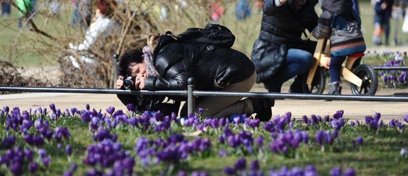 Obraz kwitnącego miasta