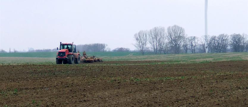 W KURIERZE. Nie mają za co siać
