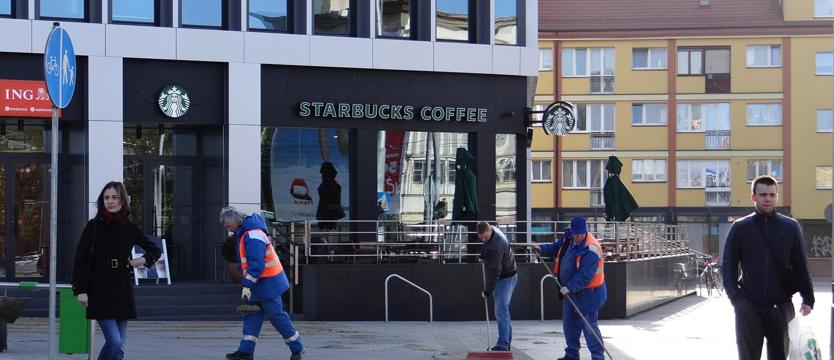 Szczotki w ruch