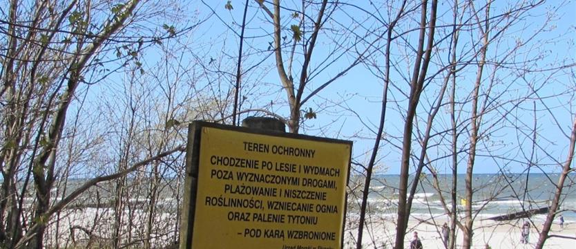 Ogniska na plaży zakazane