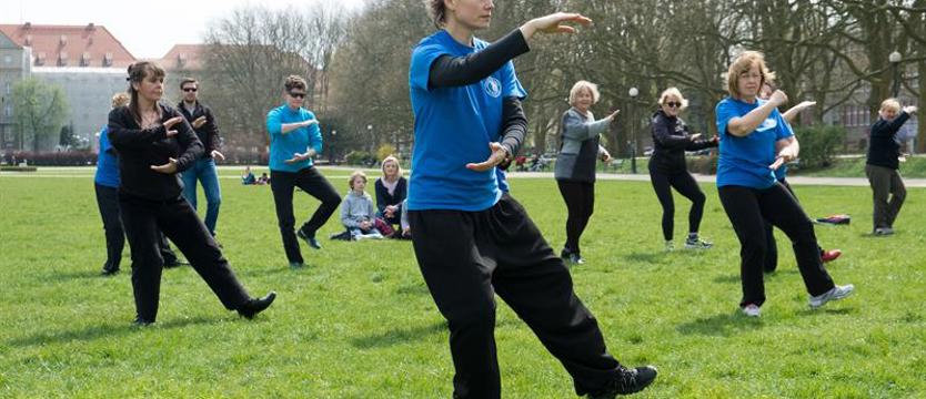 Święto tai-chi
