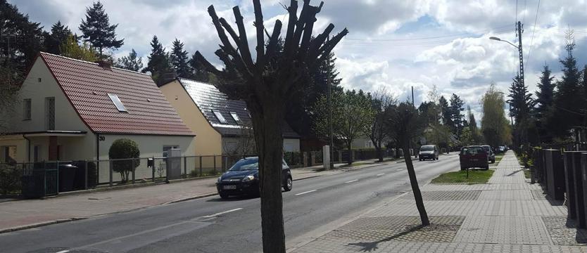 Cięcie na zniszczenie