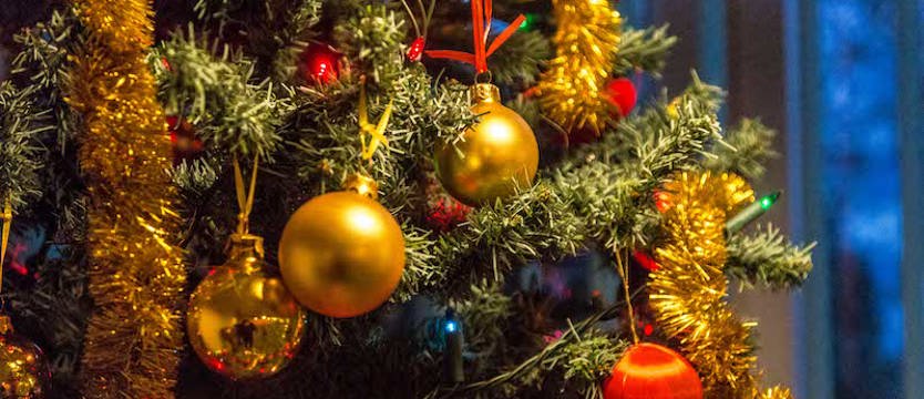 Choinka – symbolem świąt Bożego Narodzenia