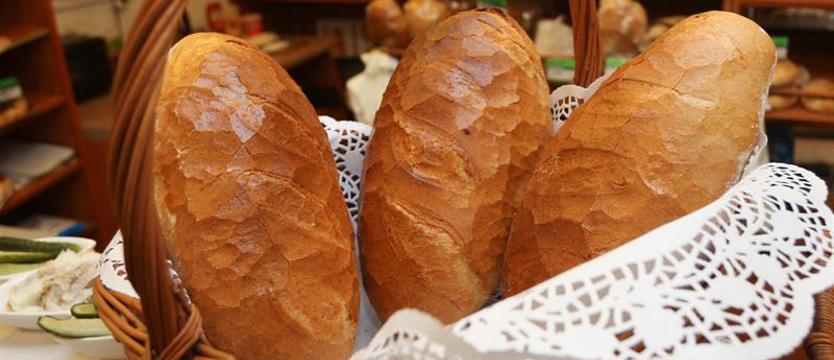 Gigantyczne rachunki wykańczają piekarzy i restauratorów