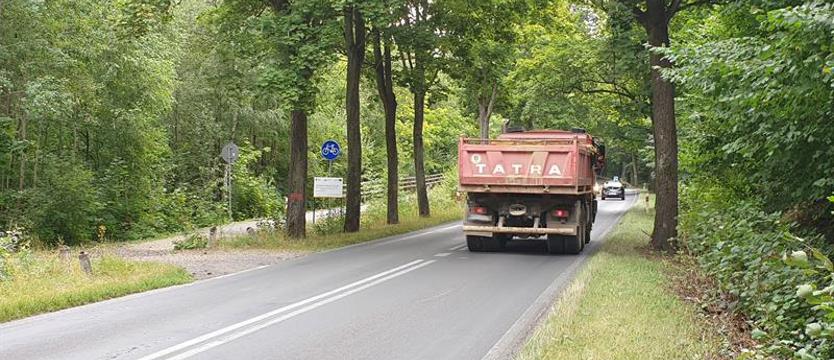 Śmiertelne niebezpieczeństwo. Nieprzemyślany zjazd na ścieżkę rowerową