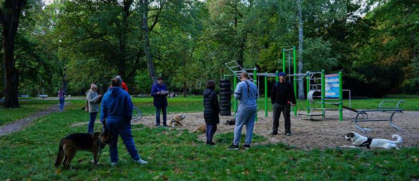 Chcą wybiegu dla psów w parku Żeromskiego