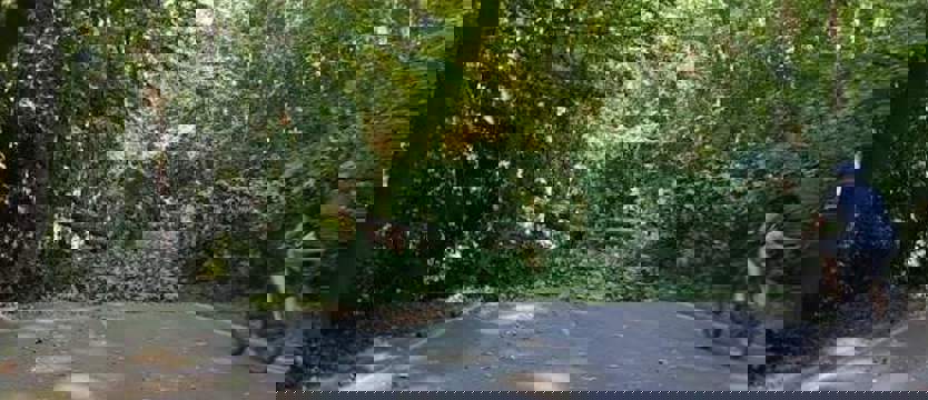 Zdarzenie na Miodowej. Motocyklistka w szpitalu