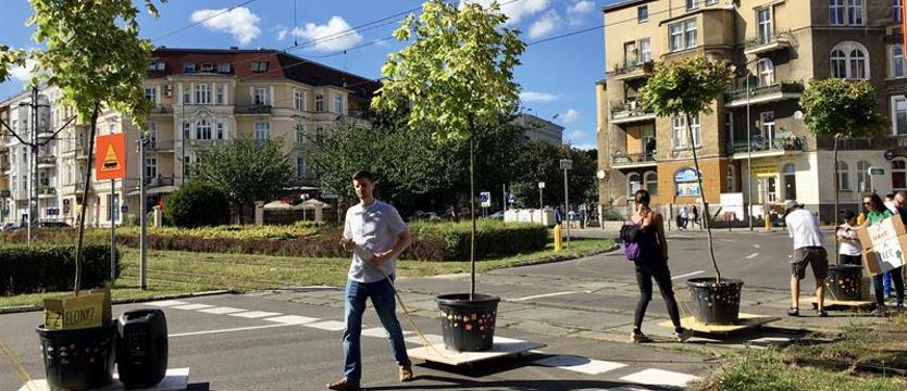 Dla osobistej satysfakcji i dobra Szczecina. Głosuj na drzewa i święto ulicy