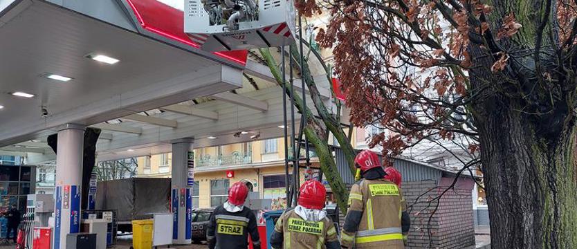 Silny wiatr powala drzewa w Szczecinie. Są poszkodowani
