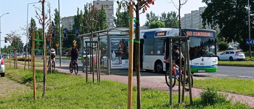 Utrudnienia w ruchu od środy w Szczecinie. Spowalniacze i asfalt