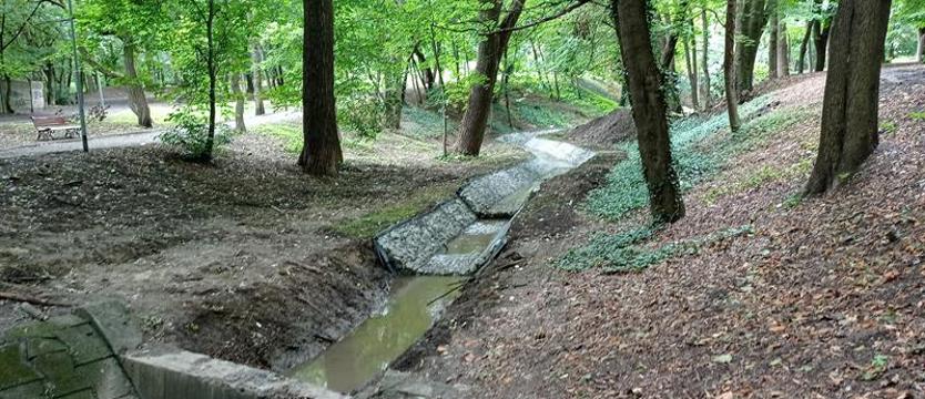 Ruszą od Głazu Niemierzyńskiego. Spacer w cieniu Chopina