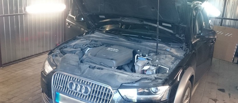 Namierzyli dziuplę i odzyskali auto