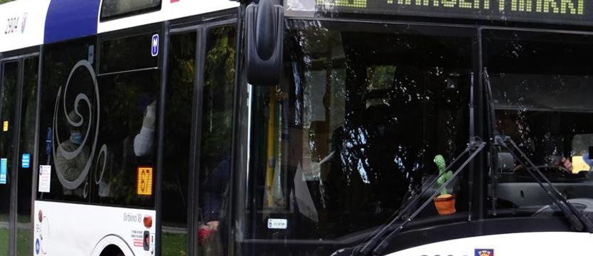 Bieg Sztafet Firmowych. W sobotę utrudnienia przy Jasnych Błoniach
