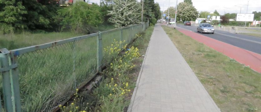 NAPISZ DO NAS. Szczecin zarasta