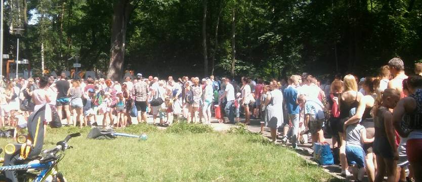 Arkonka dla wytrwałych