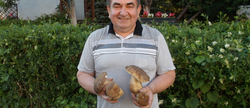 Czas na grzybobranie!